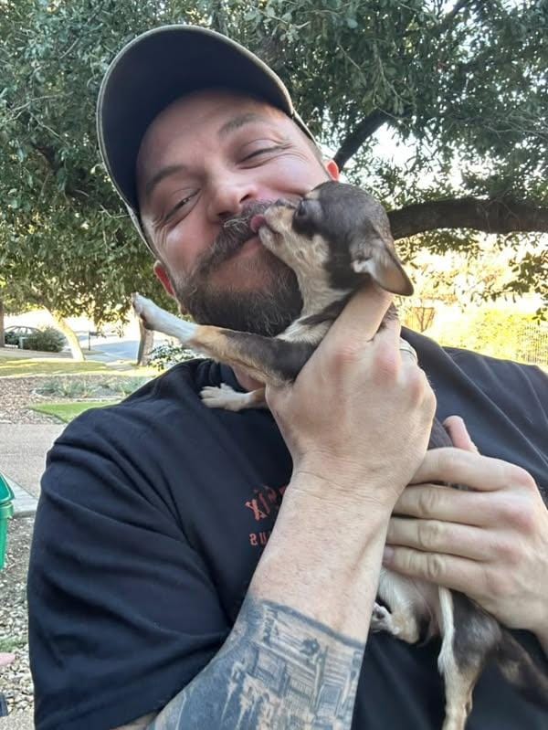 A happy guest getting sweet kisses from a chihuahua outdoors