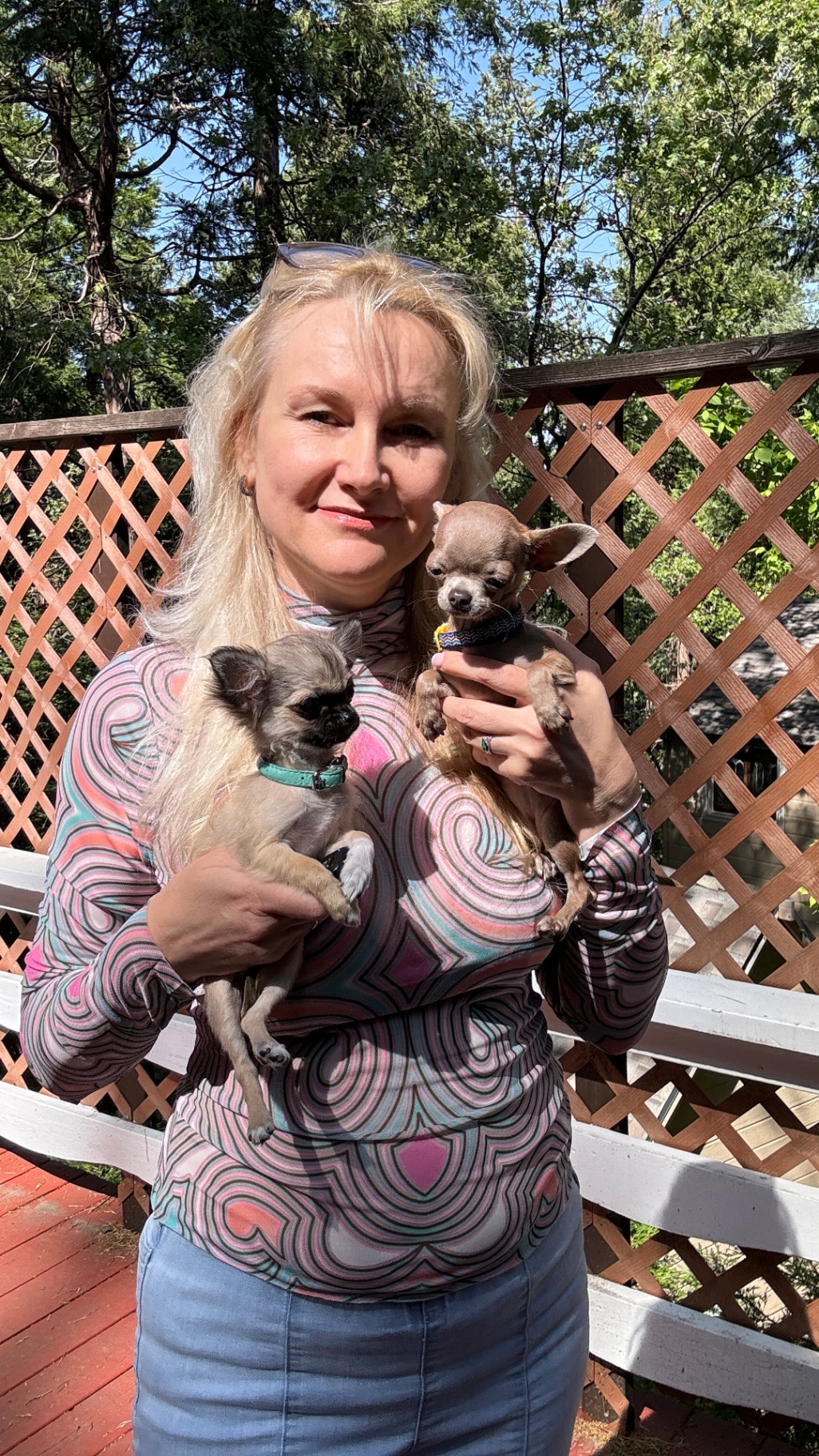 Caretaker on the wooden deck holding two chihuahuas among the pines